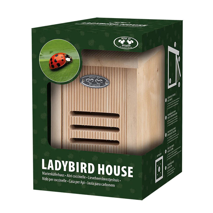 Ladybird House In Giftbox
