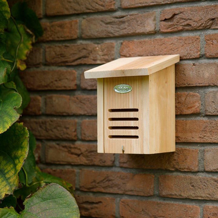 Ladybird House In Giftbox