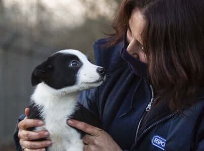 Volunteering: Get Involved with RSPCA North Wiltshire & Newbury District