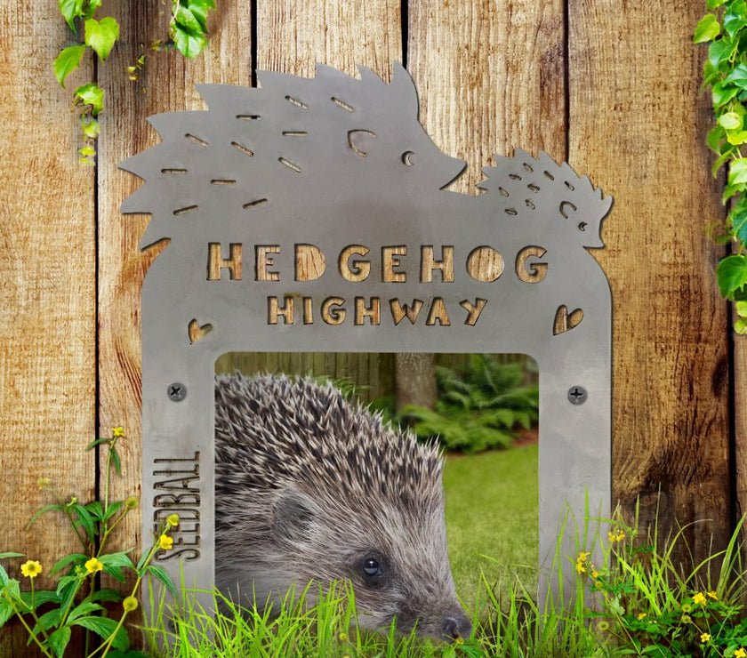 Hedgehog Highway