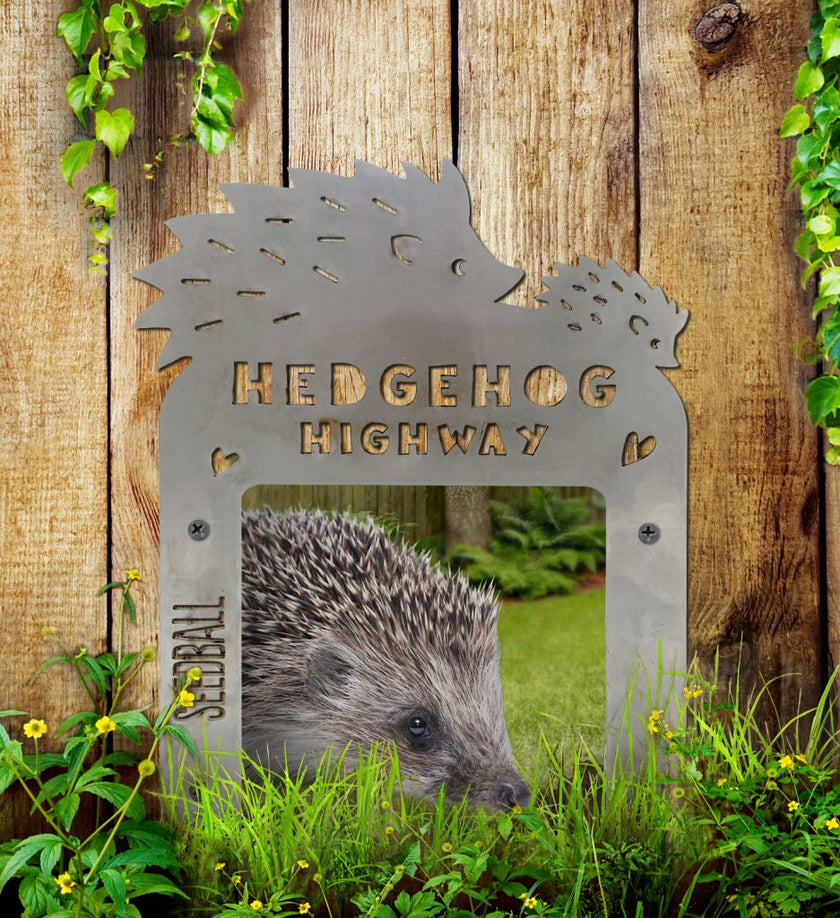 Hedgehog Highway