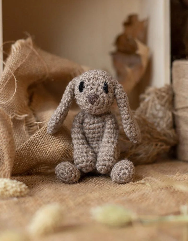 Mini Emma The Bunny Crochet Kit