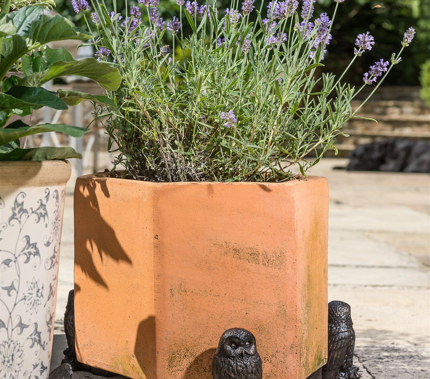 Tawny Owl Plant Pot Feet – Set of 3