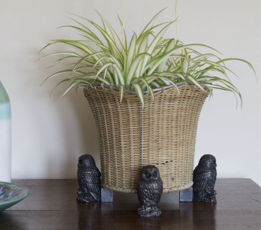 Tawny Owl Plant Pot Feet – Set of 3