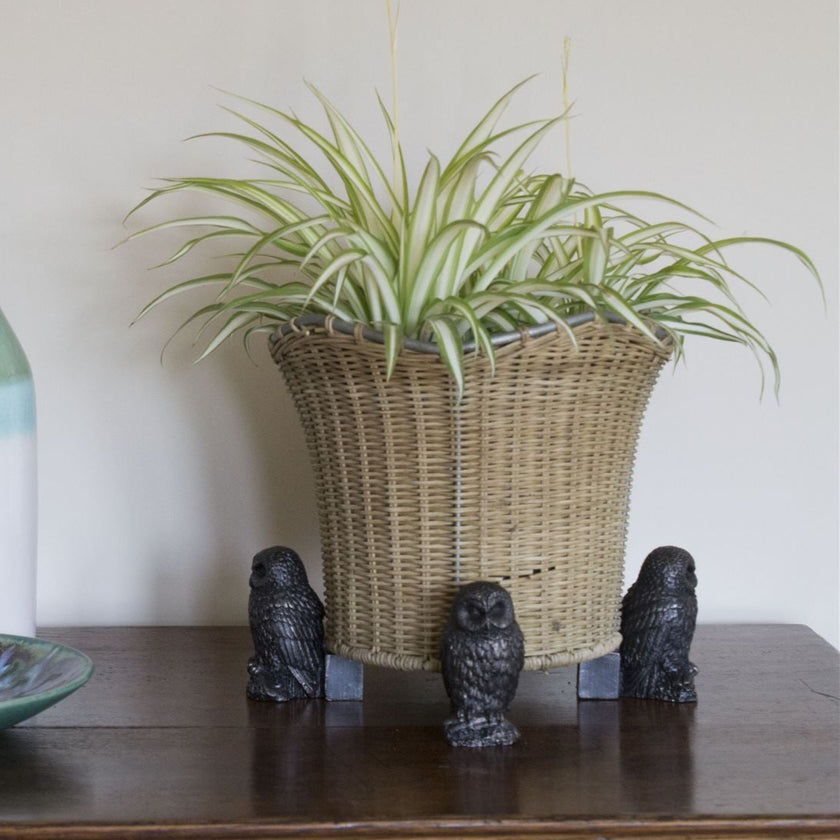 Tawny Owl Plant Pot Feet – Set of 3