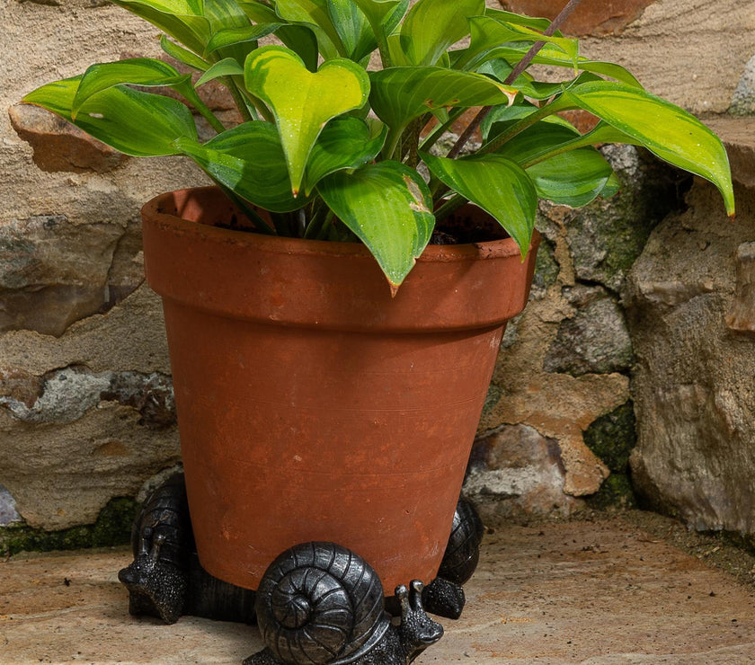 Snail Plant Pot Feet – Set of 3