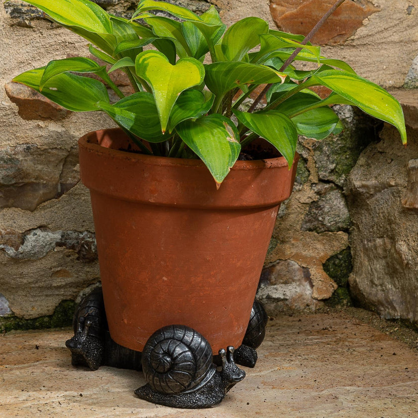 Snail Plant Pot Feet – Set of 3