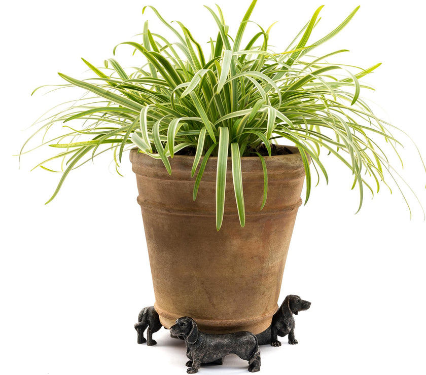 Dachshund Plant Pot Feet – Set of 3