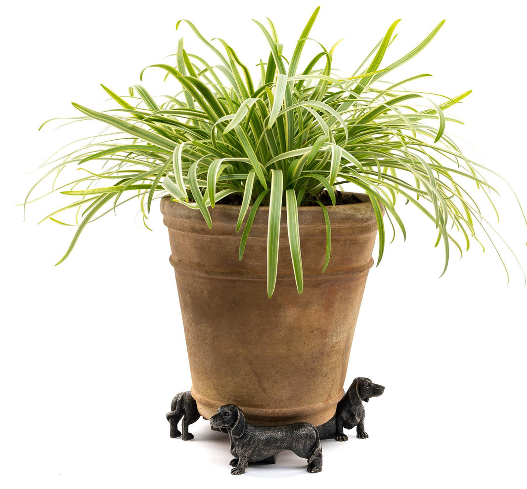 Dachshund Plant Pot Feet – Set of 3