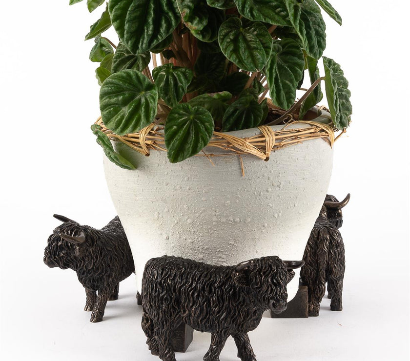 Highland Cow Plant Pot Feet – Set of 3