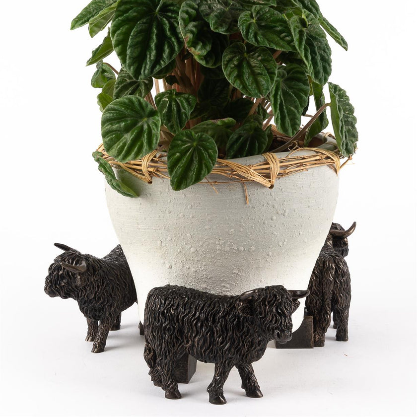 Highland Cow Plant Pot Feet – Set of 3