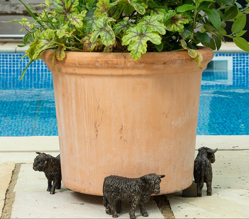 Highland Cow Plant Pot Feet – Set of 3