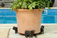 Highland Cow Plant Pot Feet – Set of 3