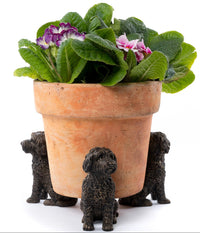 Cockapoo Plant Pot Feet – Set of 3