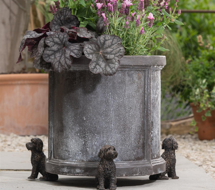 Cockapoo Plant Pot Feet – Set of 3