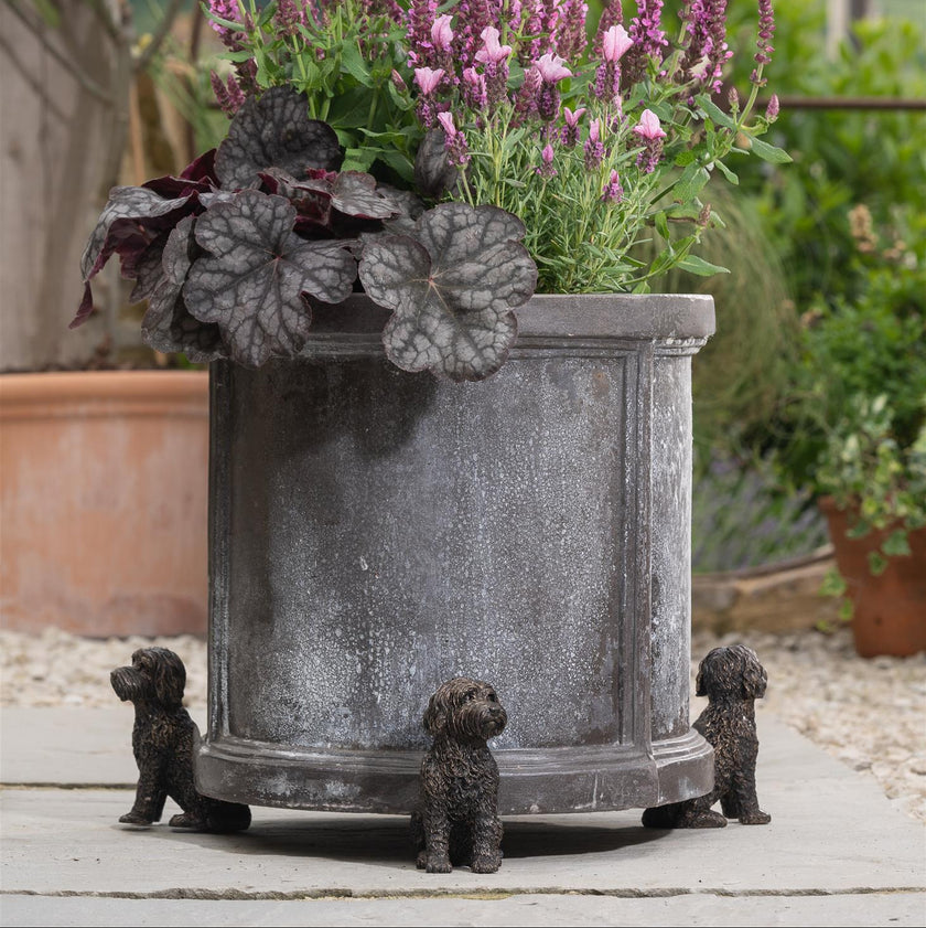 Cockapoo Plant Pot Feet – Set of 3