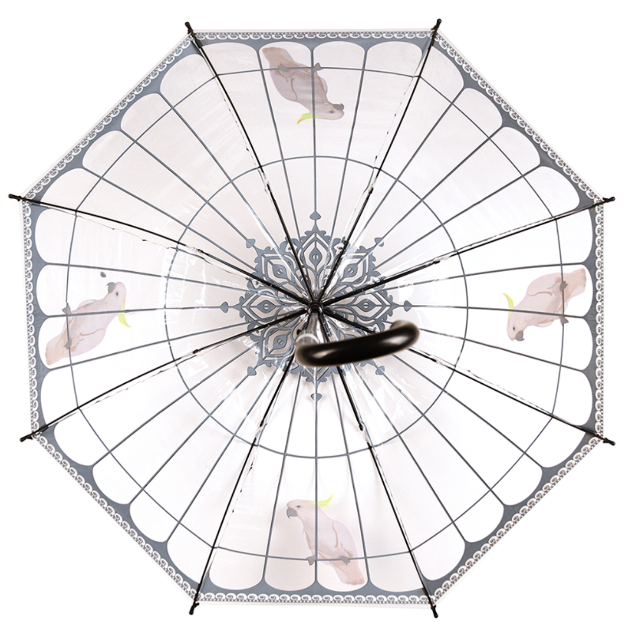 Umbrella Transparent Cockatoo in Birdcage Design