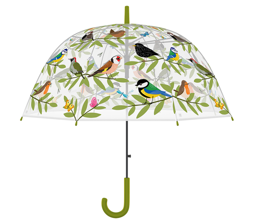 Bird Species Transparent Umbrella