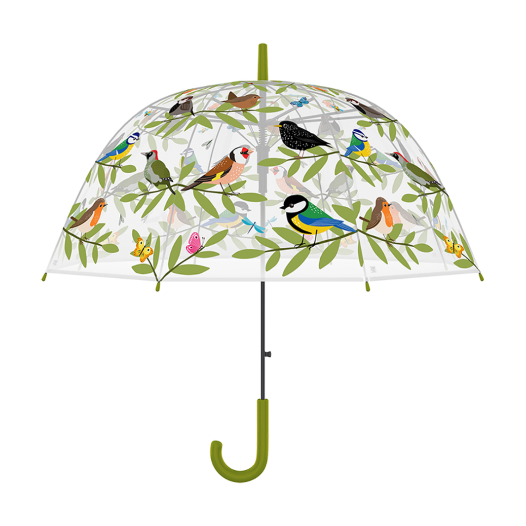 Bird Species Transparent Umbrella