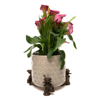 Wren On A Tap Plant Pot Feet - Set of 3