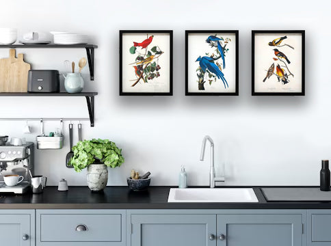 Stunning Set of Three New Framed Bird Prints