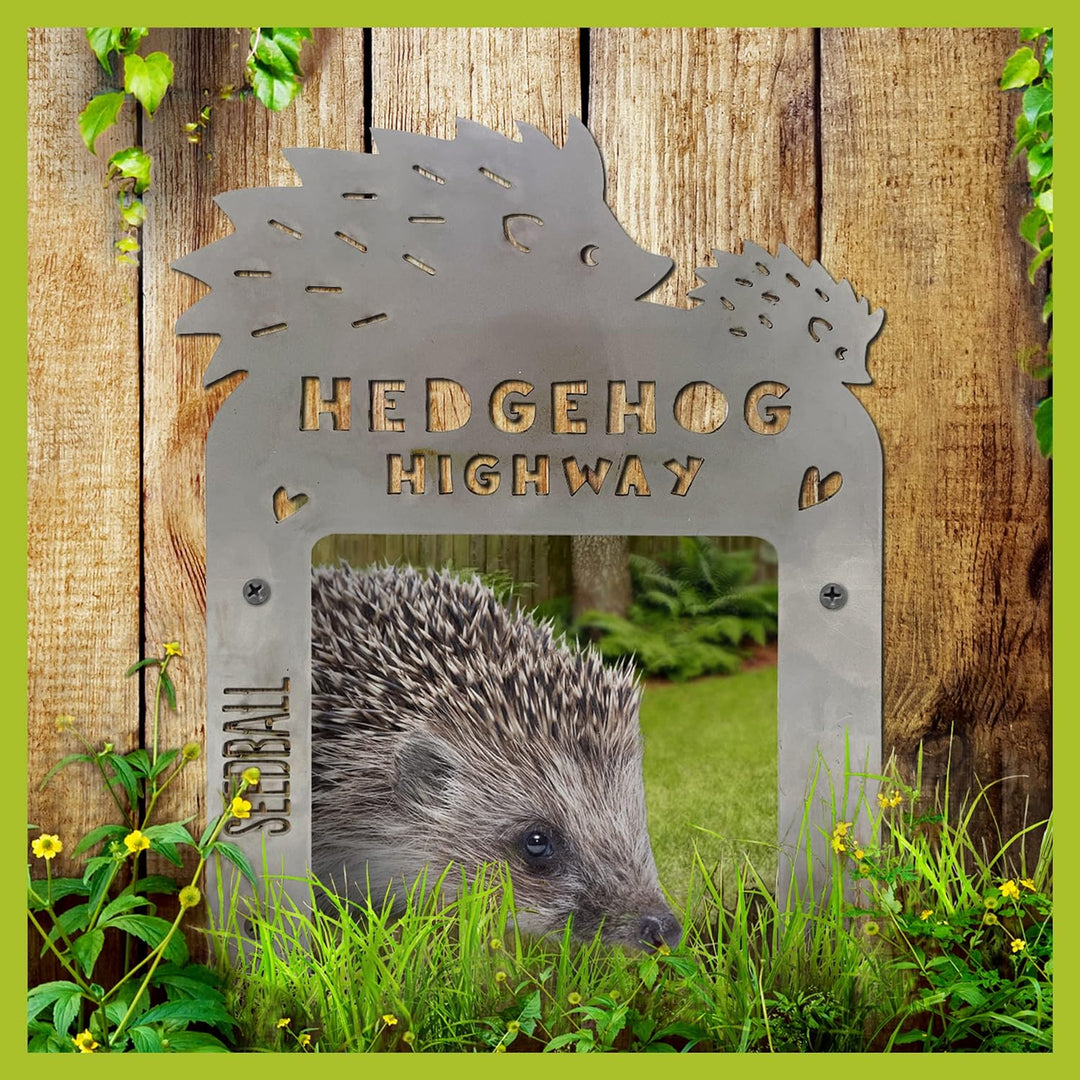 Hedgehog Highway for your fence