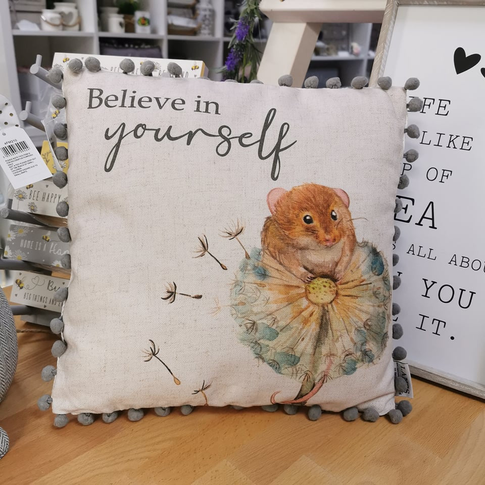 Mouse Design 'believe in yourself' cushion