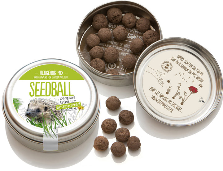 Hedgehog Mix - Tin of Seedballs